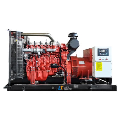 500kW 625kVA Natural Gas Biogas LPG Generator Set 50Hz 60Hz